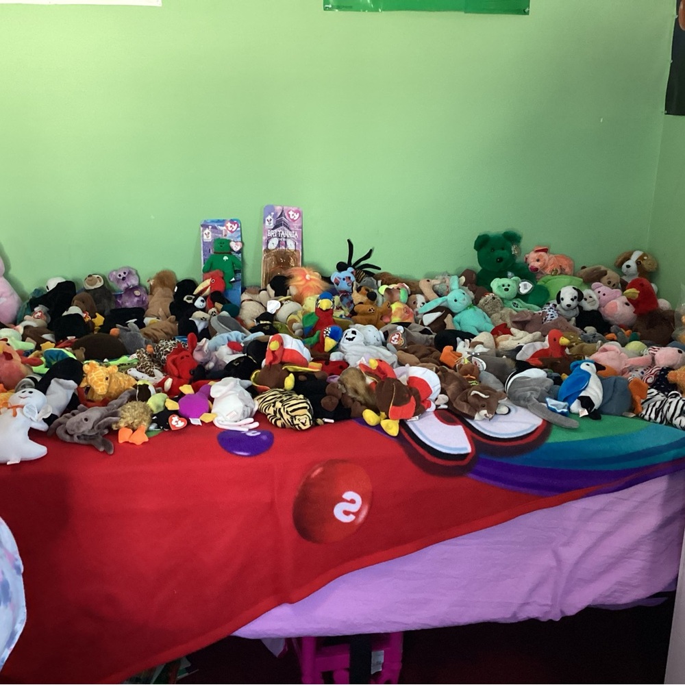 Ty Beanie Babies Plush Toy Collection - Multi color
